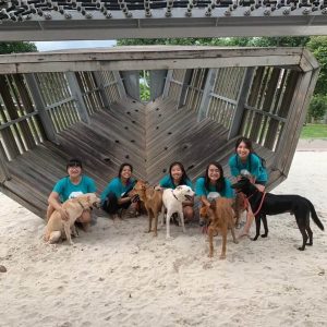 volunteer shelter dog – Mutts & Mittens